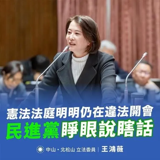 王鴻薇砲轟憲法法庭。(圖/王鴻薇臉書)