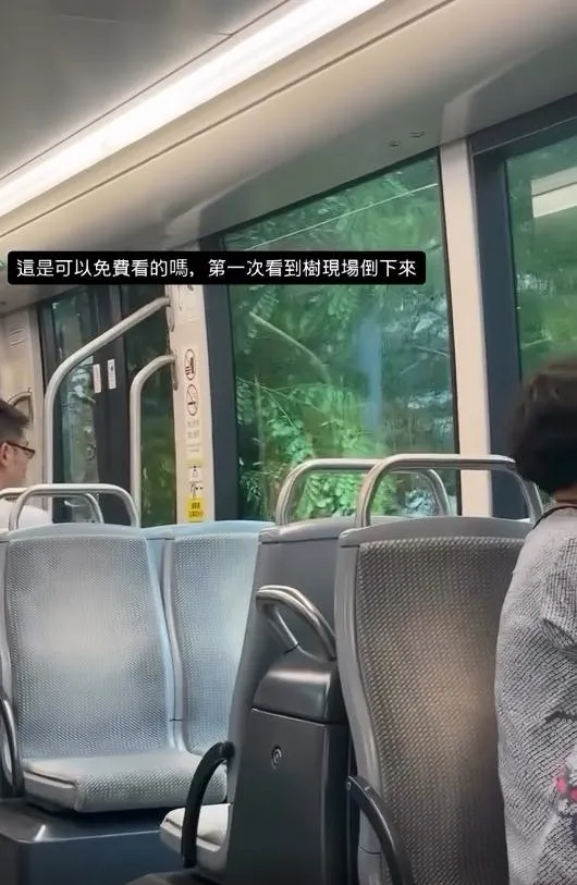 事發當下在車內的視角。（圖／翻攝mochi_.0927的Threads，經授權使用）