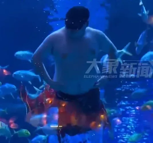 大陸山東省濟南市的一間水族館近日推出「新男版美人魚」,大叔舞者的啤酒肚在水中抖動的逗趣畫面,瞬間成為目光焦點。(圖/翻攝自微博)