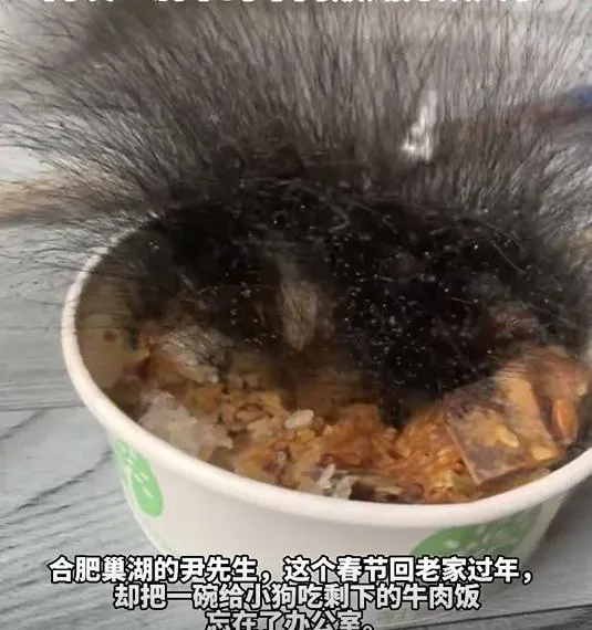 牛肉飯長出黴菌宛如頭髮。(圖/翻攝新浪微博)