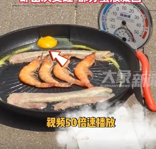 媒體實測鄭州地面高溫可烤熟蝦子。（圖/翻攝新浪微博）