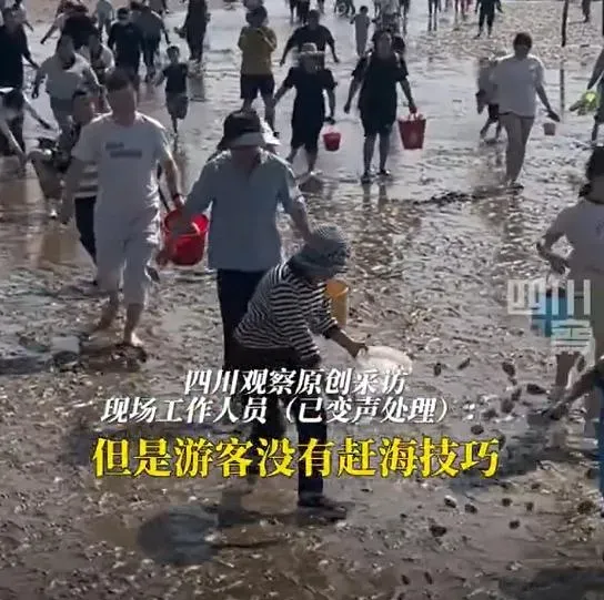 景區派工作人員「撒蛤蜊」讓遊客撿拾。（圖/翻攝新浪微博）