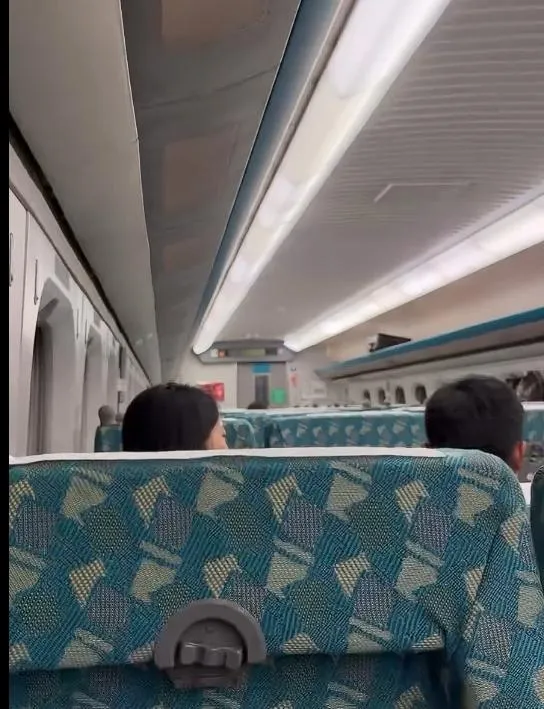 台南往嘉義的高鐵列車暫時停在半路上。（圖／翻攝donjen1330的Threads，經授權使用）