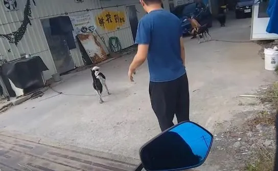 民眾向飼主溝通未果。（圖／翻攝自爆料公社）
