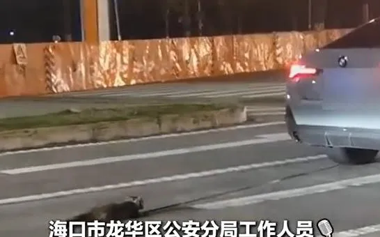 一隻小貓被掛在車尾後面拖行。(圖/翻攝新浪微博)