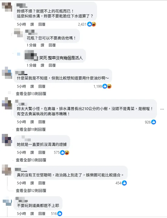 網友罵翻高嘉瑜。（圖／翻攝高嘉瑜臉書）