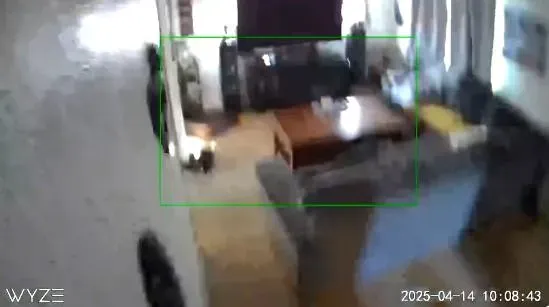 南加州住戶有些物品因劇烈搖晃而掉落。（圖／翻攝自X）