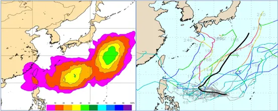 美國系集模式(GEFS)，呈現分歧如「天女散花」狀的模擬路徑（右圖）。(圖／擷自weathernerds)