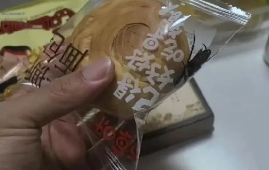 大陸知名零食品牌的麵包竟有「活蟑螂」亂竄。（圖／翻攝網路）