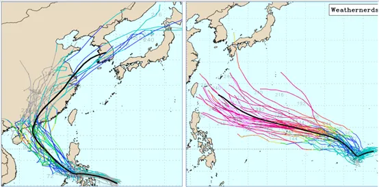 最新(29日20時)美國系集模式(GEFS)模擬圖顯示，關島東方(右圖)及菲律賓東方至南海一帶(左圖)，各有「熱帶擾動」發展的跡象。（圖／翻攝自氣象應用推廣基金會）
