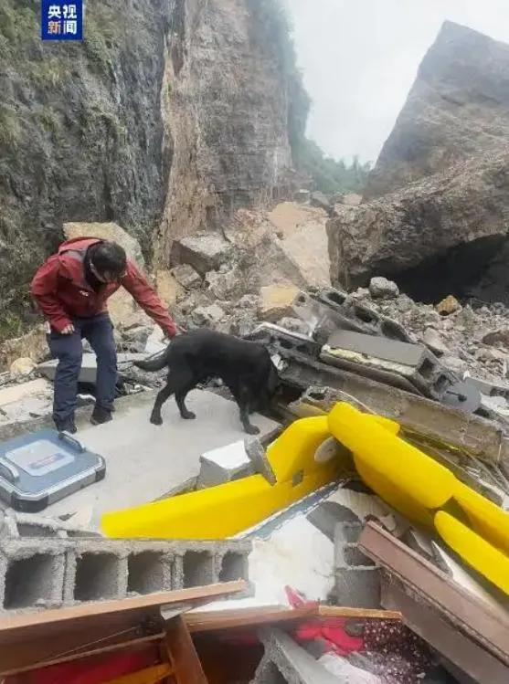 搜救犬發現疑似生命跡象。（圖／翻攝央視新聞）
