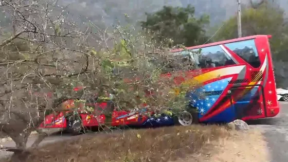 司機為求順利轉彎，一度下車試圖攀折梅樹樹枝。（圖／中天新聞，下同）