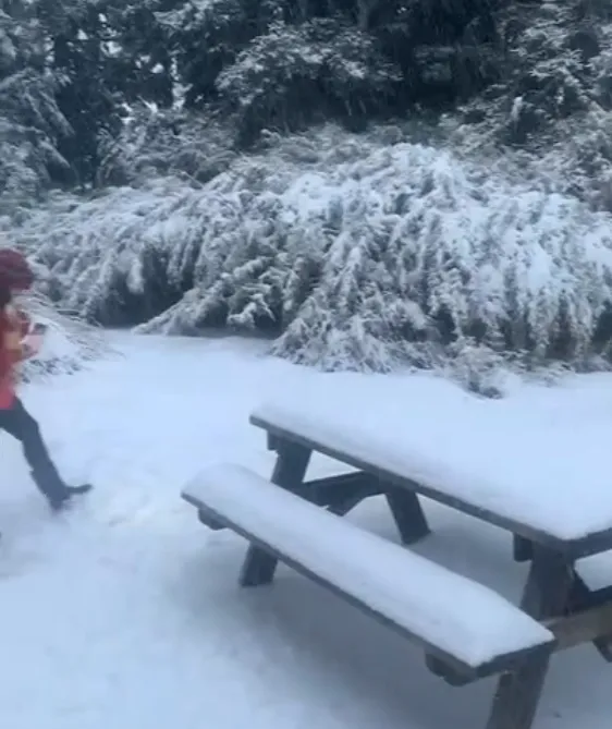 山中白雪將新達山屋周邊點綴成銀裝素裹的美景。（圖／雪管處提供）