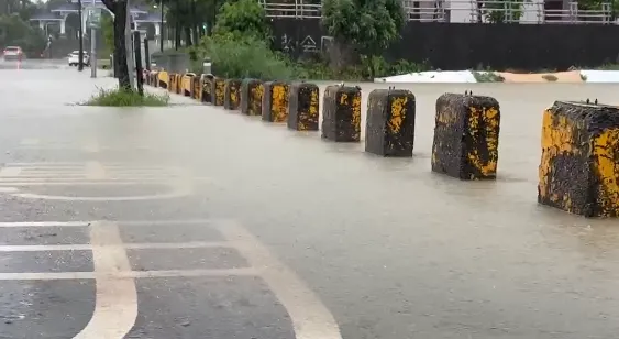 澄清湖周遭淹水。（圖／中天新聞）
