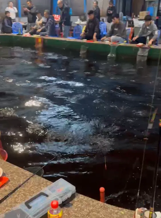 台灣東部海域27日深夜發生規模7.0顯著有感地震，宜蘭縣測得最大震度4級，1處釣蝦場內的民眾受到驚嚇。（圖／民眾提供）