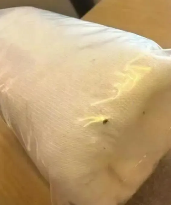 紙內褲上有明顯黴斑。（圖/翻攝新浪微博）