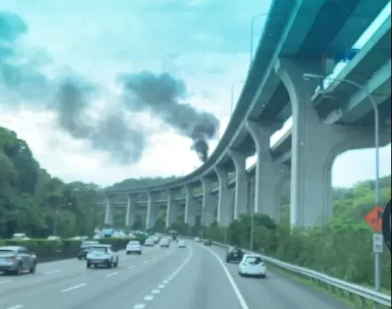 國道1號五楊高架橋林口段13日下午2時許發生火燒車事故,濃濃黑煙直竄天際。(圖/翻攝自記者爆料網)