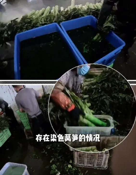 蔬菜倉庫使用液體浸泡萵筍。（圖／翻攝微博）