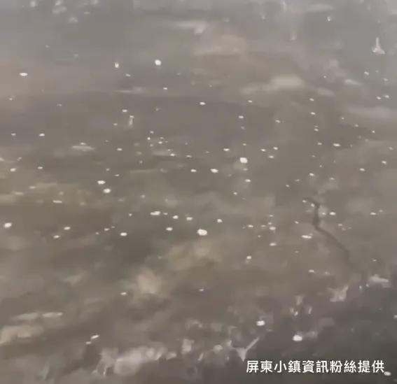 高樹鄉居民拍到地面滿是冰雹。（圖／屏東小鎮資訊提供）