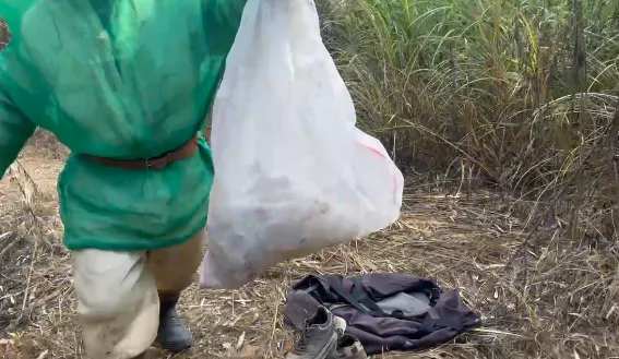 苗栗頭屋山區發生虎頭蜂攻擊事件,6名民眾遭蜂螫送醫。(圖/中天新聞˙)