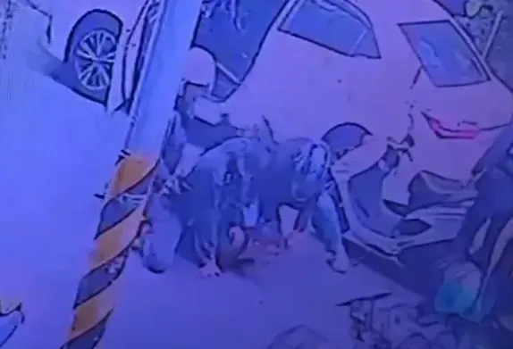 犯嫌被壓制在地。（圖／民眾提供）