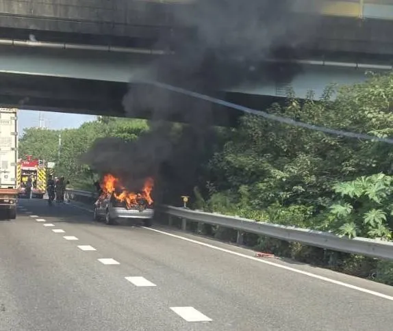 所幸無人傷亡。（圖／台南道路救援張家班群組）