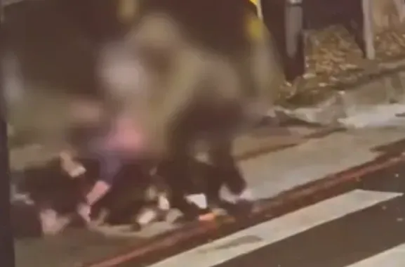 去年2月大同區1名蘇姓飼主未繫牽繩、未戴嘴套，就帶著羅威納犬外出散步，造成一名歐陽姓男子及其愛犬「小黑」慘遭咬傷。（圖/翻攝畫面）