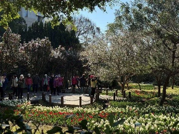 大門入口溫帶花卉布置,營造歐洲花園般的迎賓景致。(圖/台北市政府)