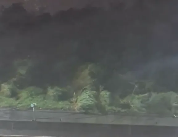 新北市汐止區的網友拍攝到當地實況，強風夾雜豪雨一波接一波襲來，路旁樹木被吹得東倒西歪。（圖／Threads@tin_a0118授權提供）