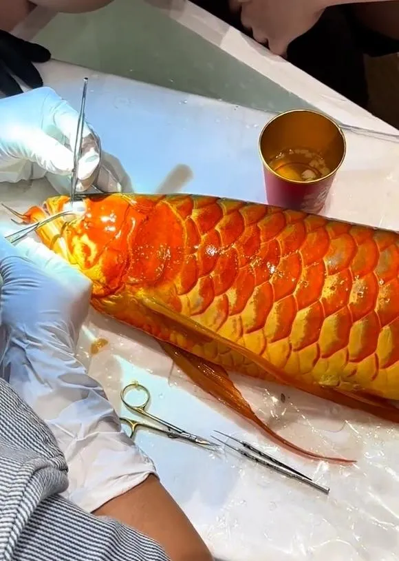 魚主人透露該龍魚身價達上百萬人民幣。（圖／翻攝微博）