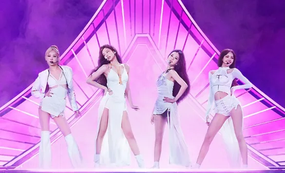 BLACKPINK舉辦世界巡迴演唱會。（圖／翻攝BLACKPINK臉書）