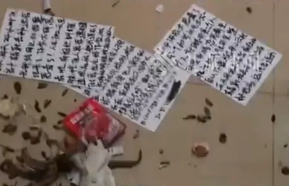 劉女稱遭到樓下疑似精神障礙者的鄰居長期騷擾。（圖／翻攝自《九派新聞》）
