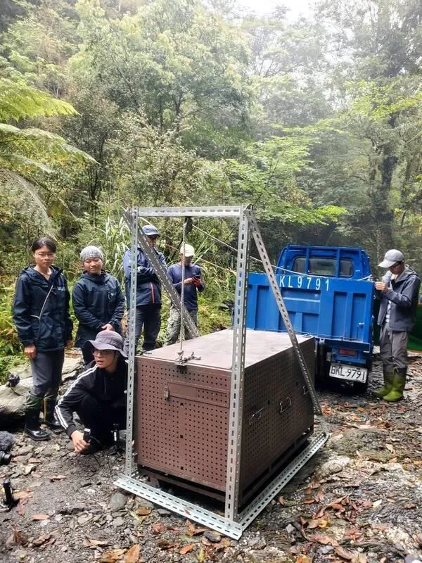 花蓮縣卓溪鄉太平村8日野放1對黑熊母女，工作人員進行黑熊野放前整備作業，確保作業安全與順利。（圖／林業保育署花蓮分署提供）