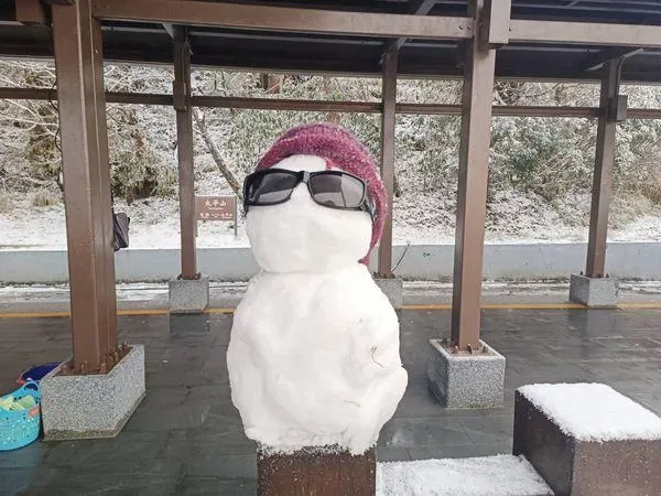 遊客到太平山莊賞美麗的雪景、堆雪人。（圖／太平山莊提供）