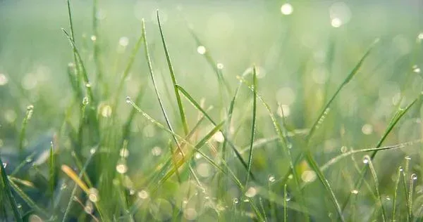 二十四節氣之中的「雨水」將在2月18日晚間到來。（示意圖／pixabay）