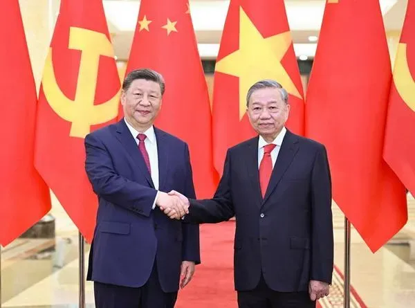 習近平日前訪問越南會晤越共總書記蘇林。(圖/翻攝大陸外交部)