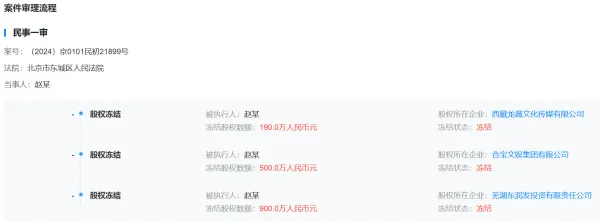 趙薇股權凍結涉及金額達1590萬元人民幣。（圖／翻攝每日經濟新聞）
