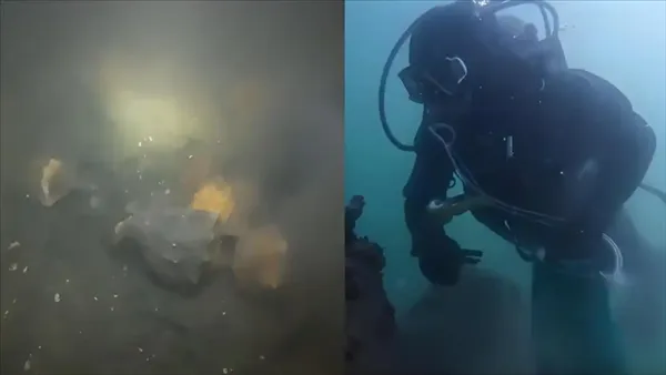 山東青島海螺大爆發,潛水員捕撈直呼賺麻了。(圖/翻攝快科技)