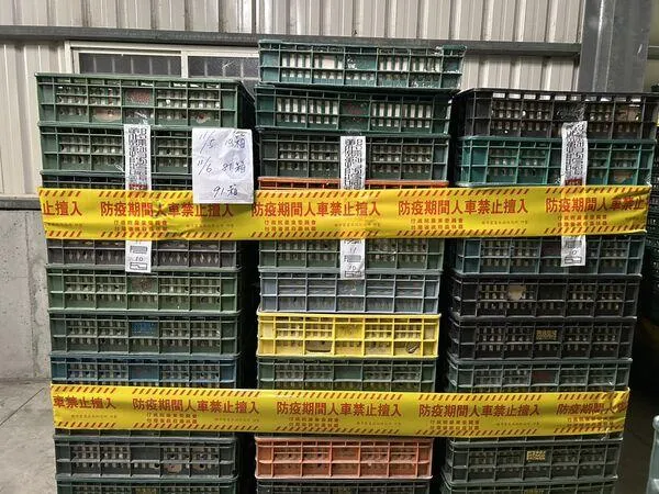 文雅畜牧場自11月5日起已進入移動管制狀態，卻依舊偷賣毒雞蛋。(圖/彰化縣政府)