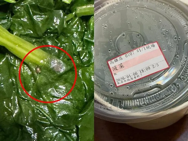 高雄鼎泰豐炒菠菜驚見蝸牛、泥土。（圖／FB翻攝爆料公社公開版）