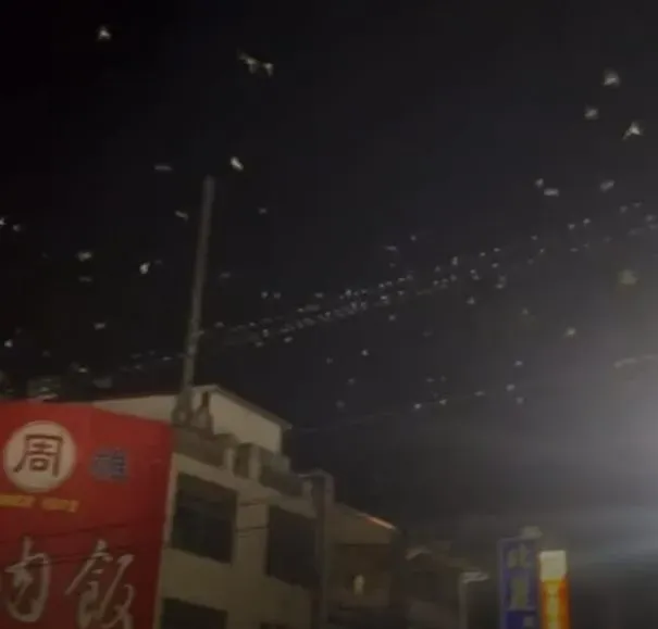 民眾拍下鳥群亂飛。（圖/網友授權）