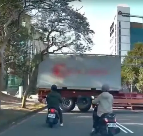 貨櫃車闖入禁區強行迴轉,路樹應聲倒下。(圖/翻攝新竹爆料公社)