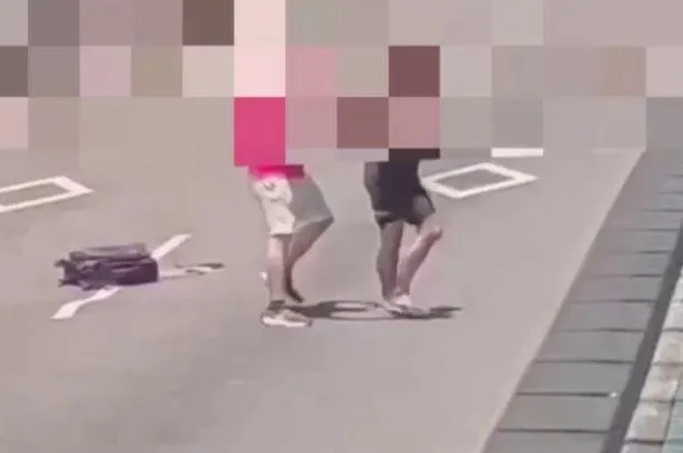 N男（左）見義勇為上前阻止，跟陳男發生扭打。（圖／警方提供）