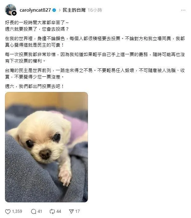 陳珮騏在投票前就已經展現公眾人物的影響力。（圖／翻攝自陳珮騏Threads）