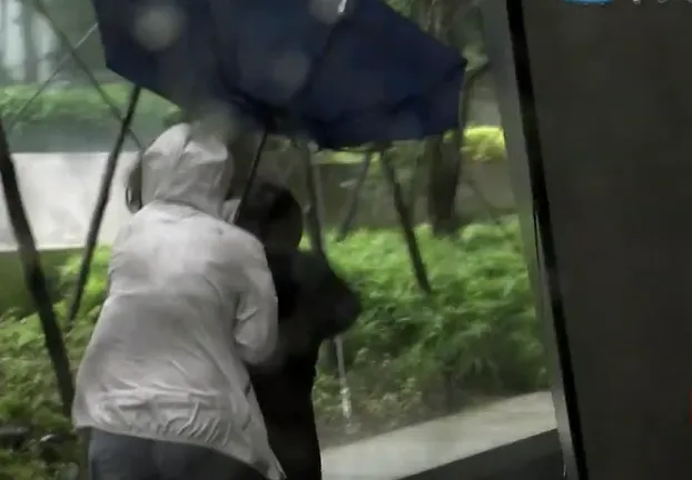 鳳凰颱風逼近，加上與東北季風共伴效應，大台北和宜花地區雨勢不容小覷。（示意圖／中天新聞）
