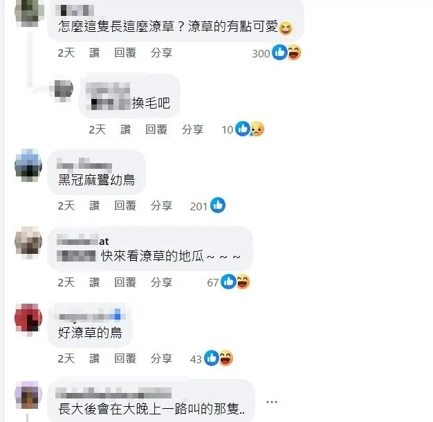 網友們留言給答案。（圖／翻攝臉書社團「清水小鎮」）