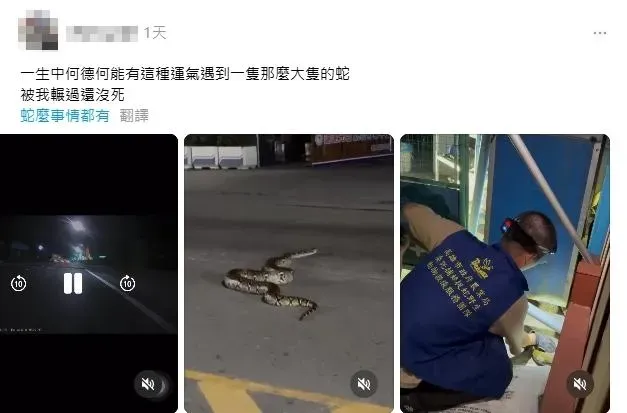 陳女不慎輾到巨蛇摔車。（圖／翻攝自Threads）