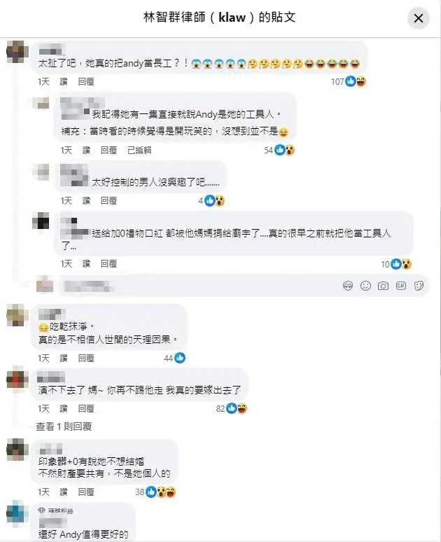 網友留言討論。(圖/翻攝自林智群臉書)