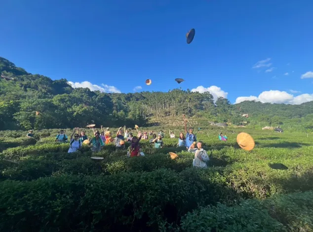 參與者於天芳茶行體驗採茶樂趣，在活動中認識地方茶文化與產業特色。（圖／新北觀光局提供）
