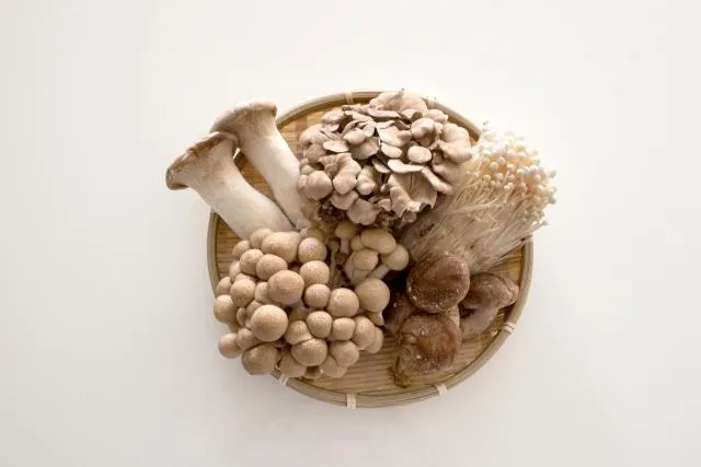 香菇、舞菇、杏鮑菇及猴頭菇,富含β-葡聚醣,能活化免疫系統中的巨噬細胞與NK細胞。(圖/Photo AC)